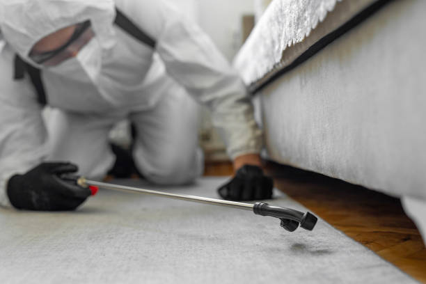 Professional Termite Control technician working in Union, OR