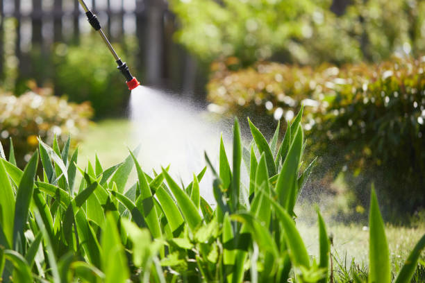 24/7 Emergency Termite Control experts in Union, OR