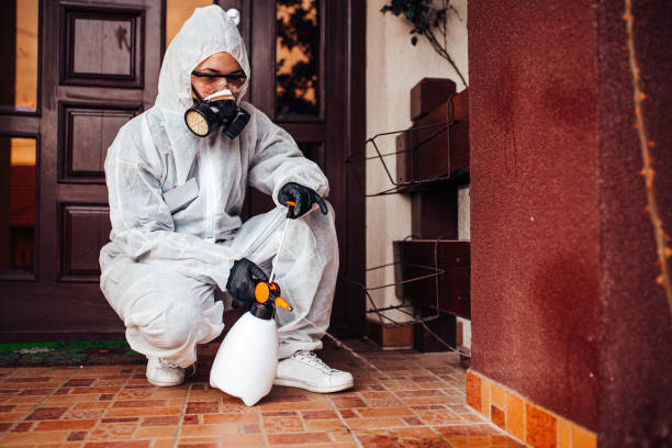 Reliable Termite Control contractor in Union, OR by Nex Pest Control