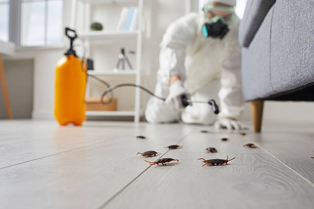 Affordable Termite Control solutions in Union, OR